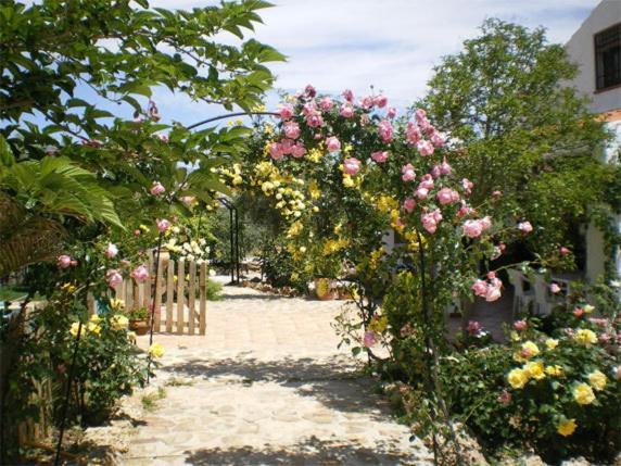 Casas Rurales Cazorla-Alcon Pozo Alcón Kamer foto