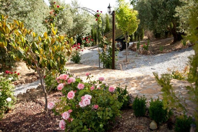 Casas Rurales Cazorla-Alcon Pozo Alcón Kamer foto