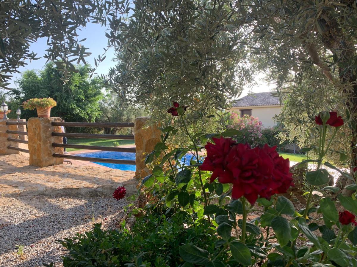 Casas Rurales Cazorla-Alcon Pozo Alcón Buitenkant foto
