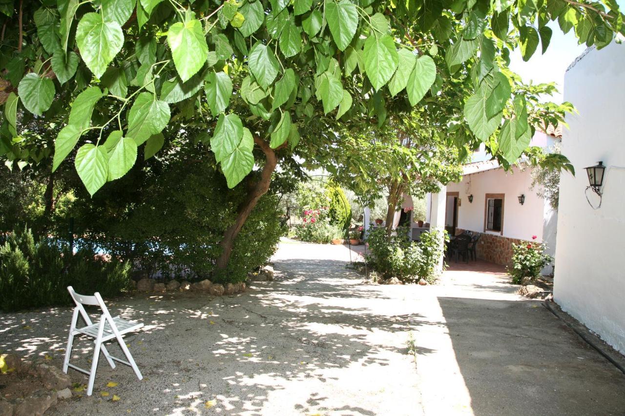 Casas Rurales Cazorla-Alcon Pozo Alcón Buitenkant foto