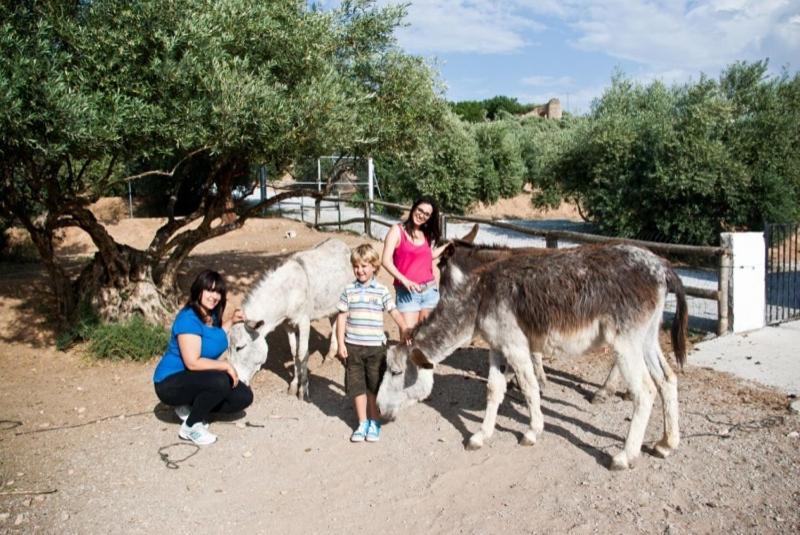Casas Rurales Cazorla-Alcon Pozo Alcón Buitenkant foto